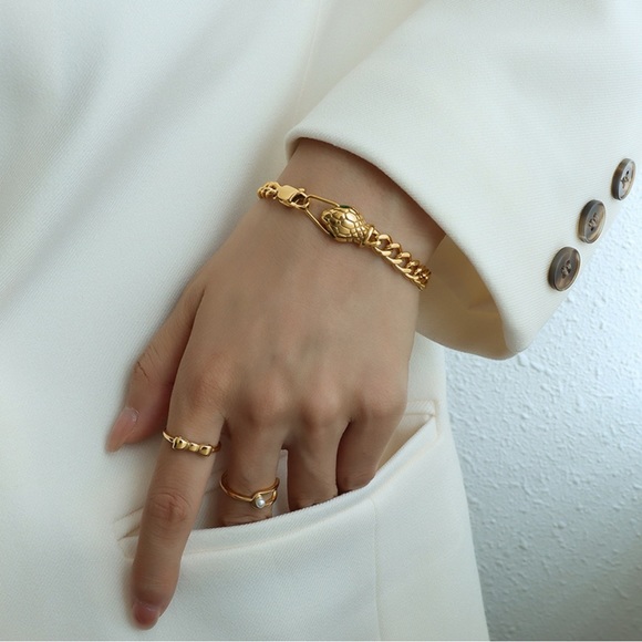 Snake Head Chain Titanium Steel Bracelet - Picture 2 of 7